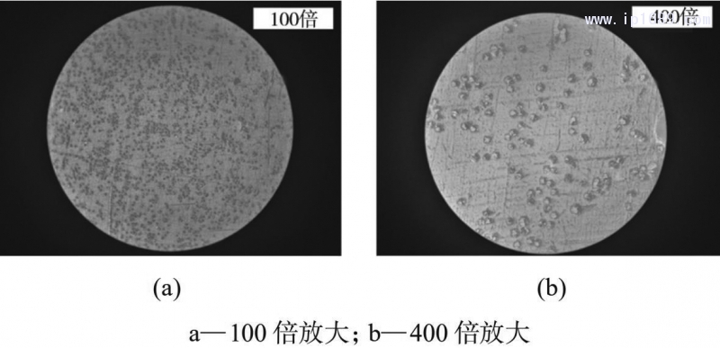 圖 9　玻纖在樣條截面的分散情況